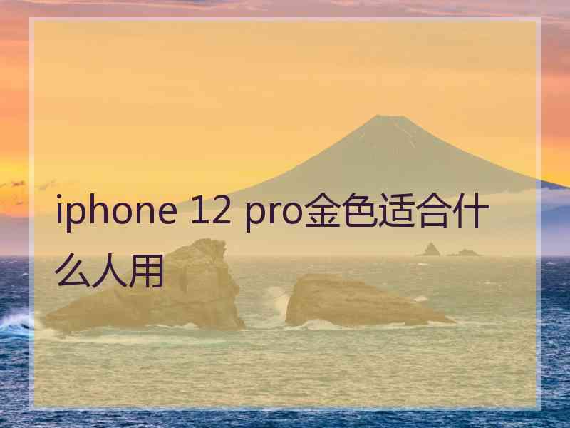 iphone 12 pro金色适合什么人用