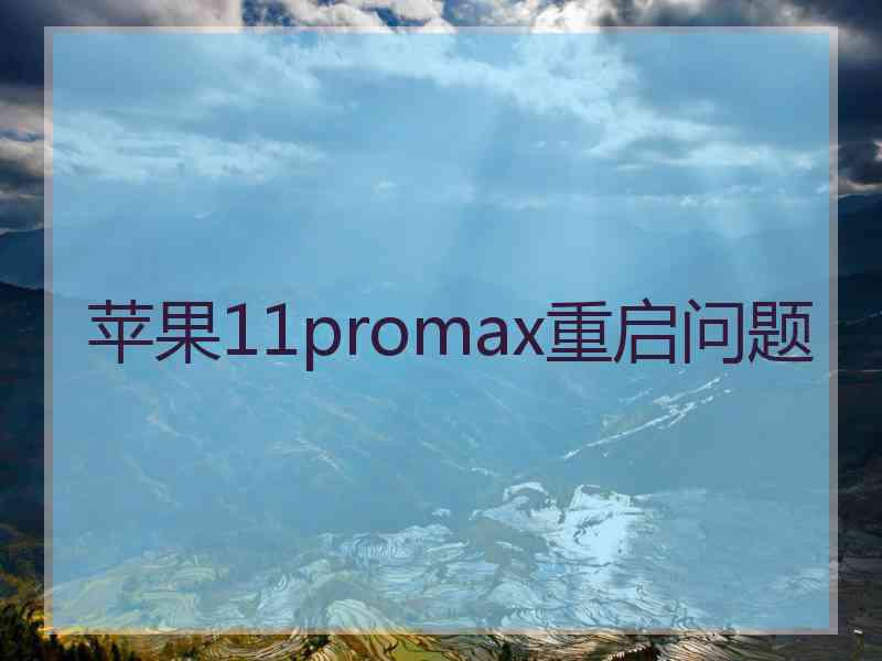 苹果11promax重启问题