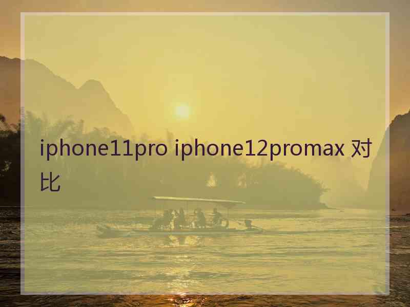 iphone11pro iphone12promax 对比