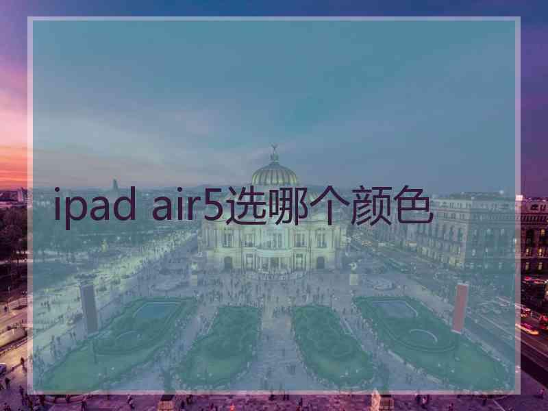 ipad air5选哪个颜色