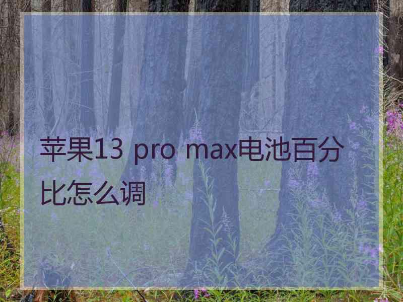 苹果13 pro max电池百分比怎么调