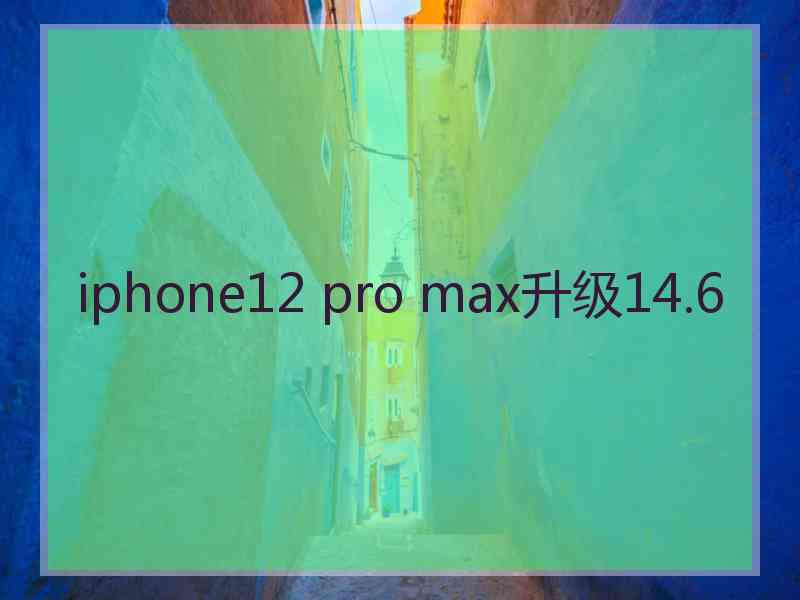 iphone12 pro max升级14.6