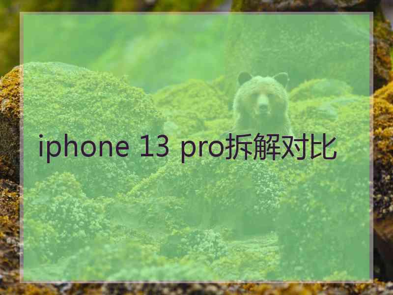 iphone 13 pro拆解对比