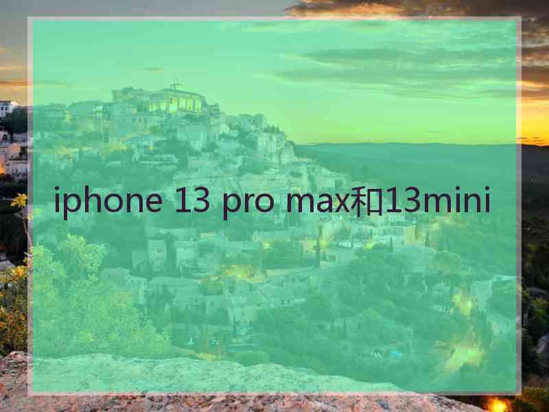 iphone 13 pro max和13mini