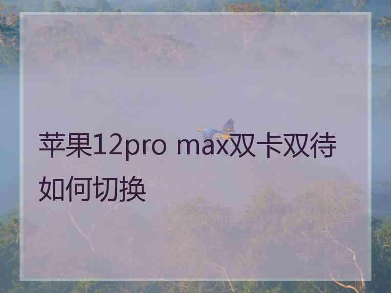 苹果12pro max双卡双待如何切换