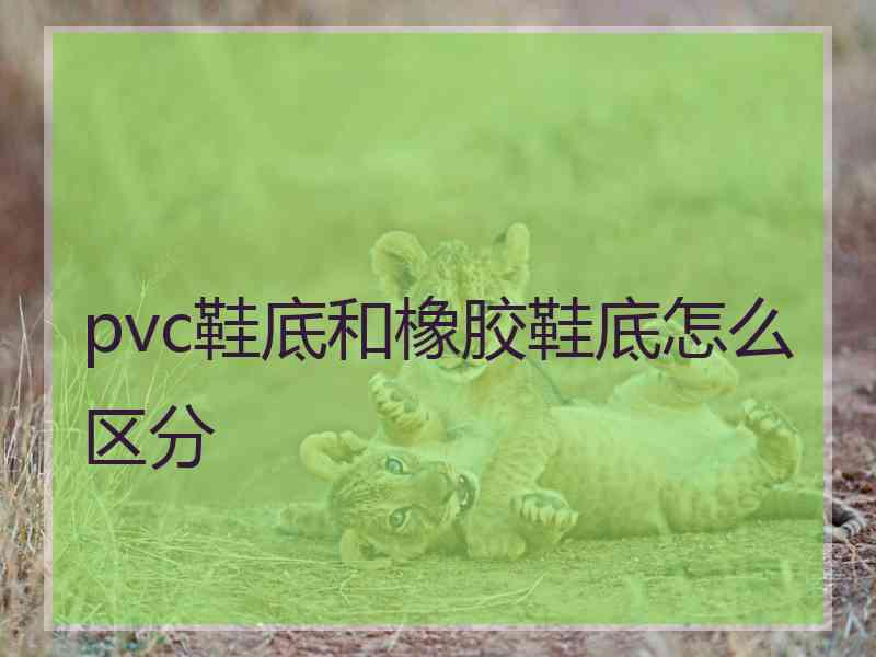 pvc鞋底和橡胶鞋底怎么区分