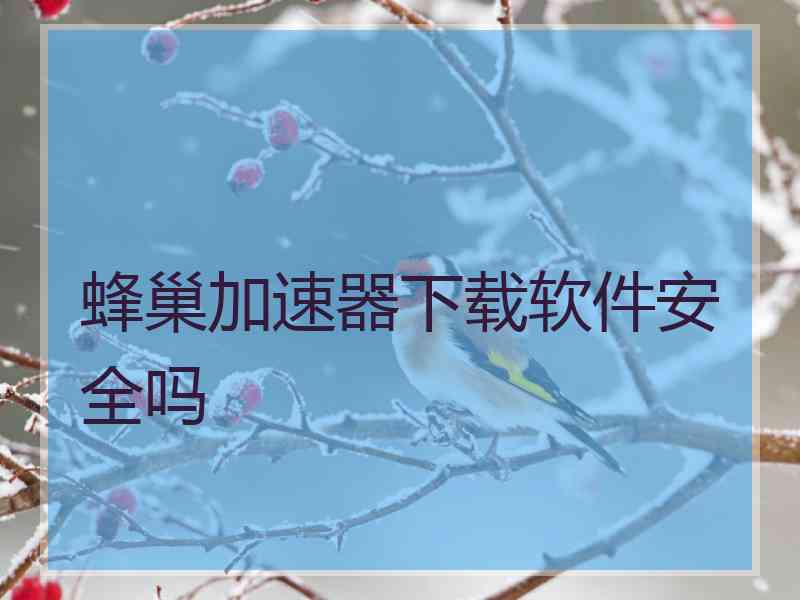 蜂巢加速器下载软件安全吗