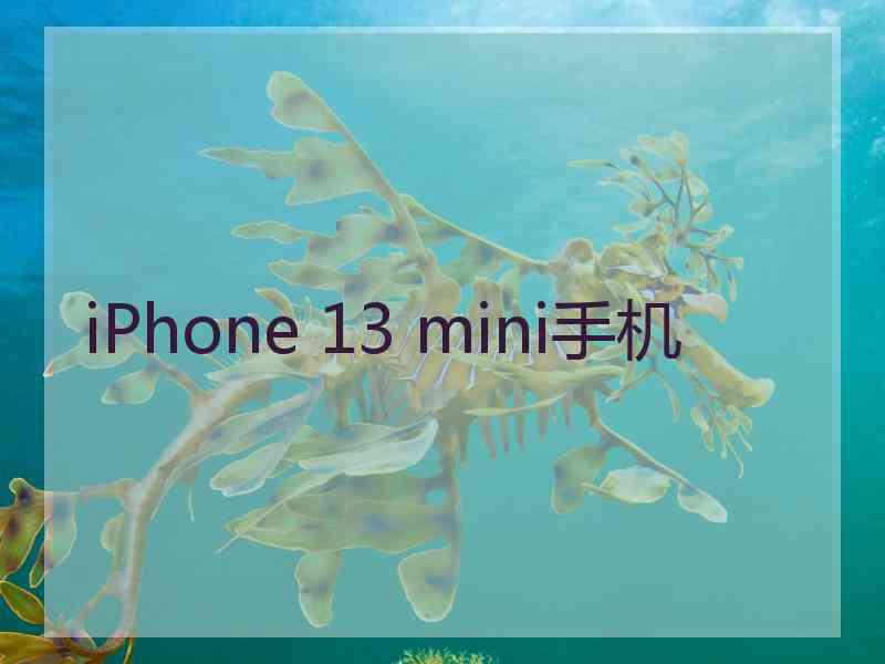 iPhone 13 mini手机