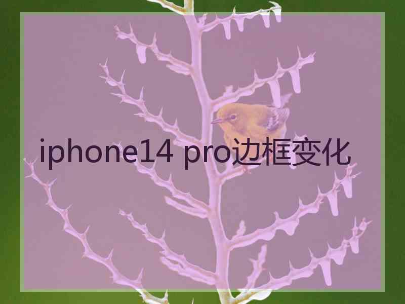 iphone14 pro边框变化