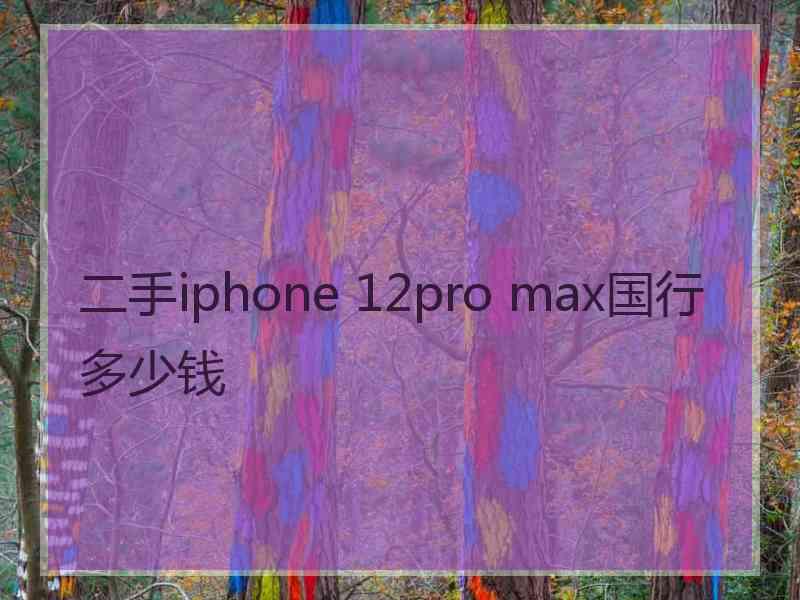 二手iphone 12pro max国行多少钱