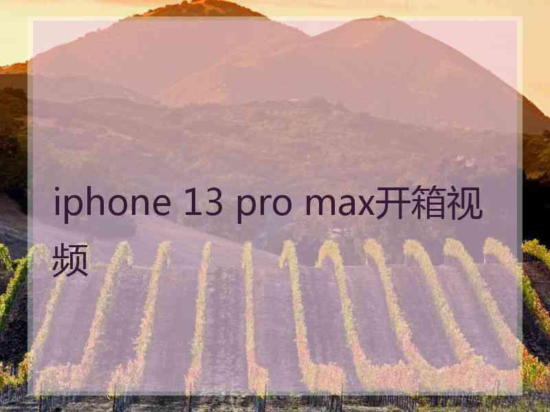 iphone 13 pro max开箱视频