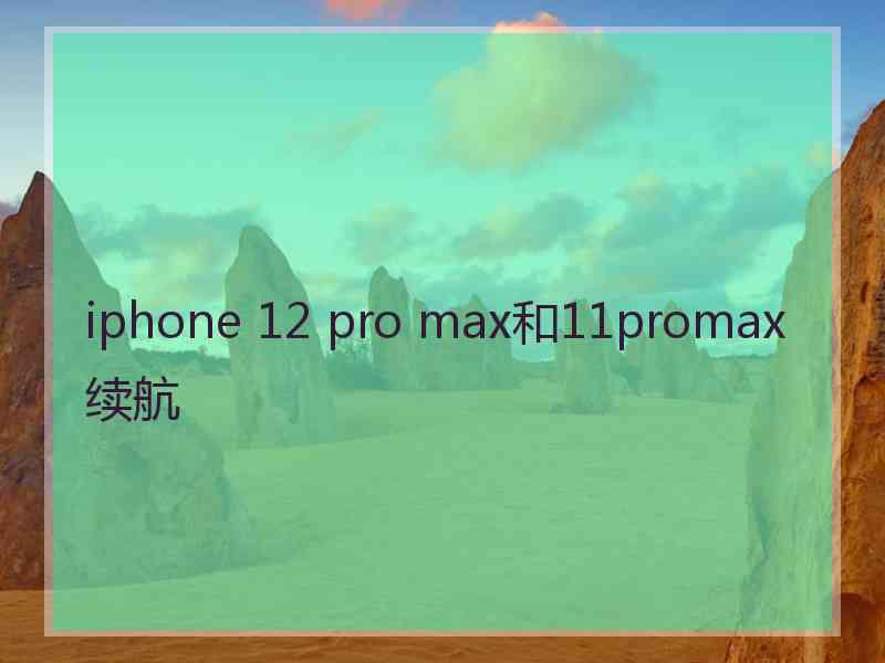 iphone 12 pro max和11promax续航