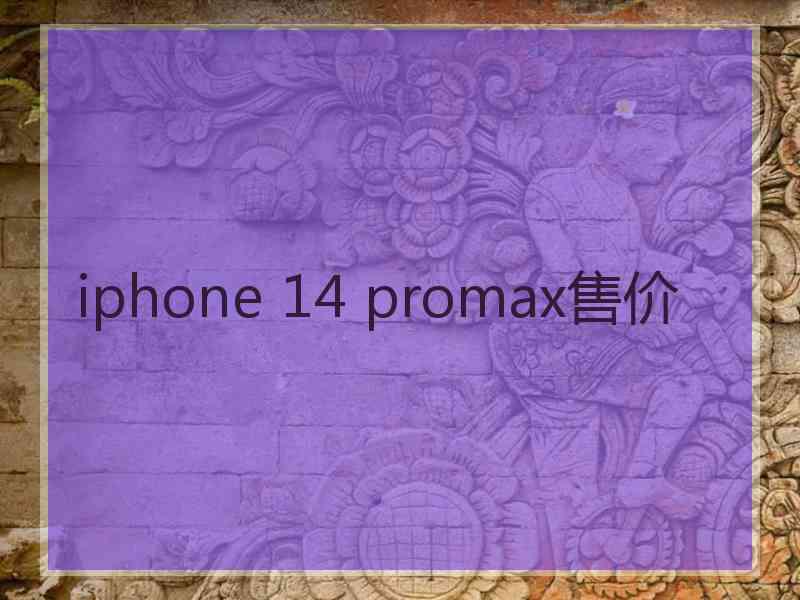 iphone 14 promax售价