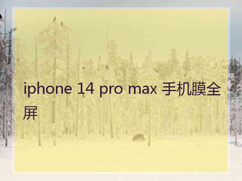 iphone 14 pro max 手机膜全屏