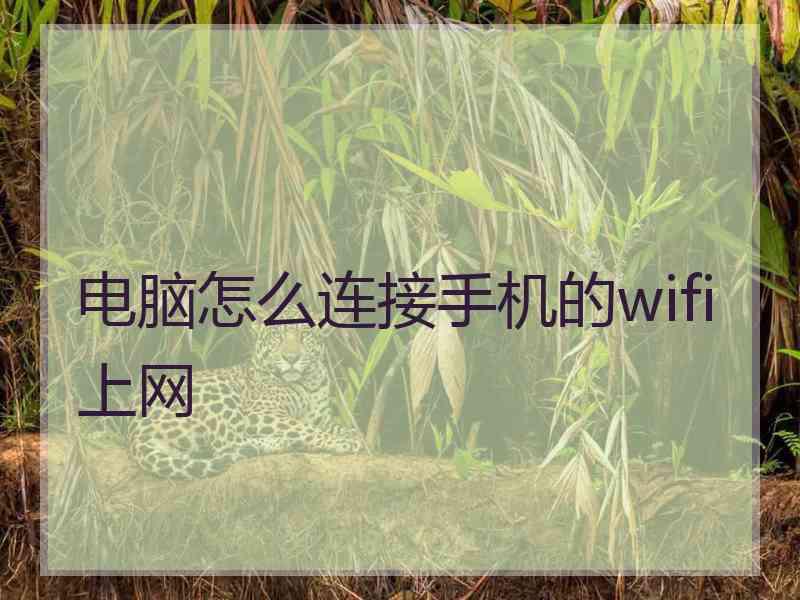 电脑怎么连接手机的wifi上网