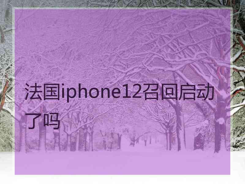 法国iphone12召回启动了吗