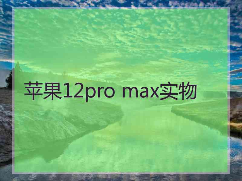 苹果12pro max实物