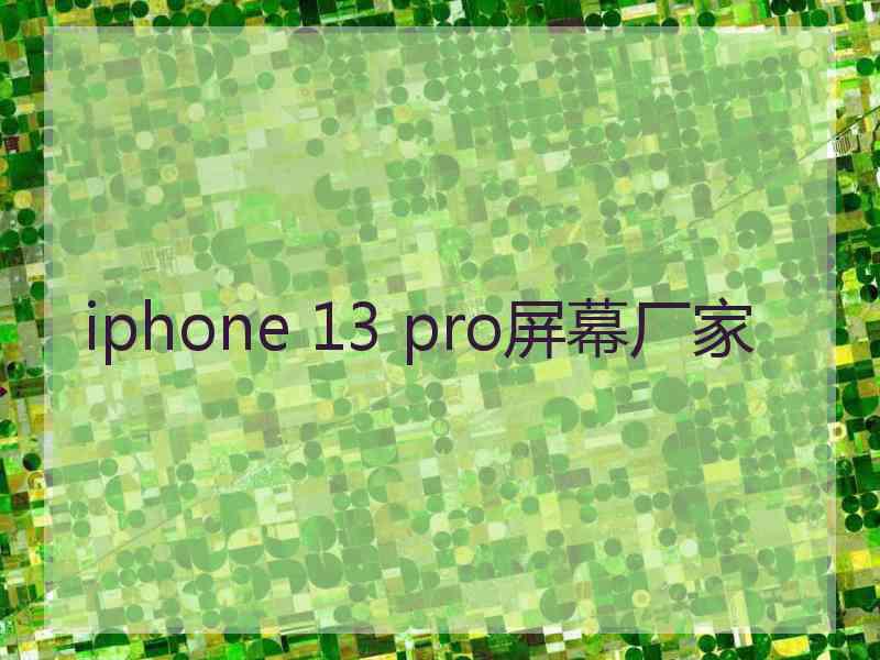 iphone 13 pro屏幕厂家