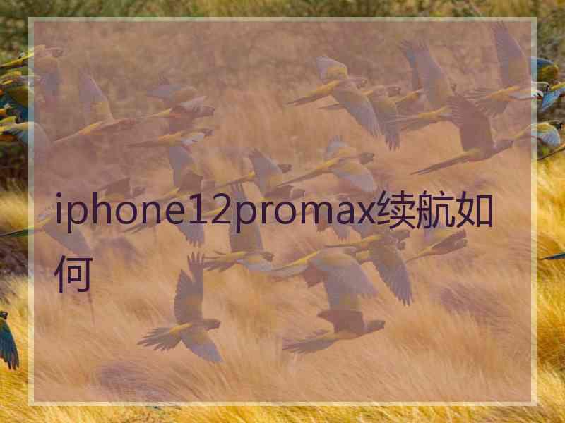 iphone12promax续航如何