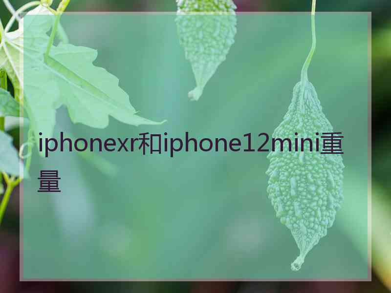 iphonexr和iphone12mini重量