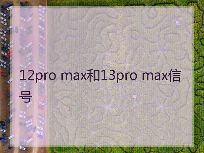 12pro max和13pro max信号