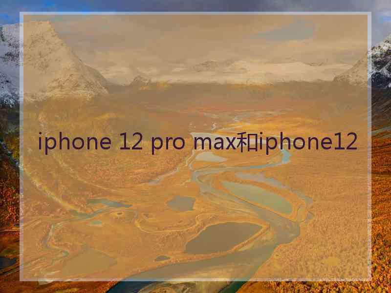 iphone 12 pro max和iphone12