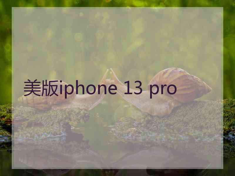 美版iphone 13 pro