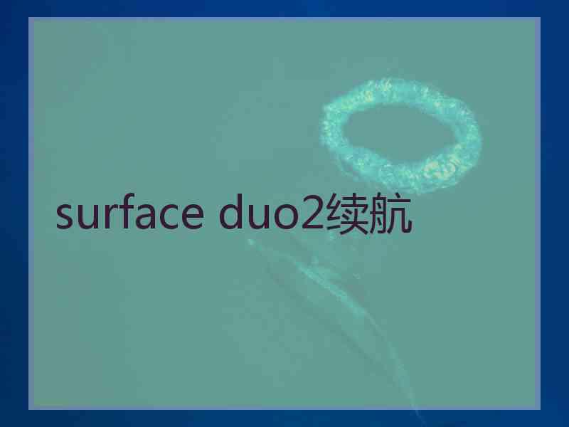 surface duo2续航