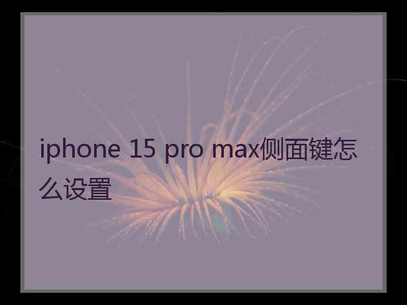 iphone 15 pro max侧面键怎么设置