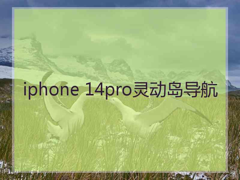 iphone 14pro灵动岛导航