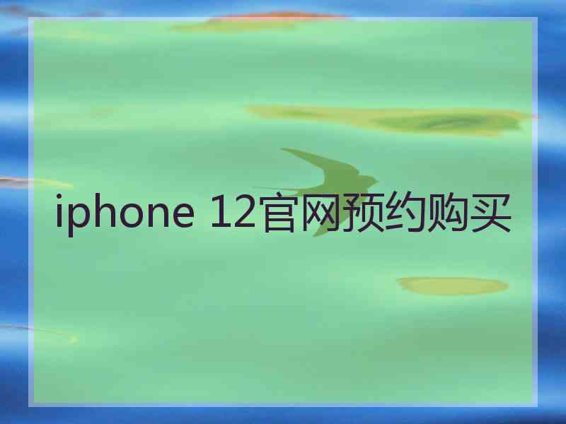 iphone 12官网预约购买