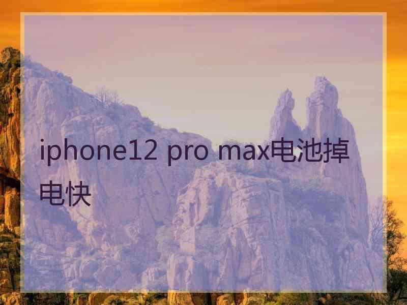 iphone12 pro max电池掉电快