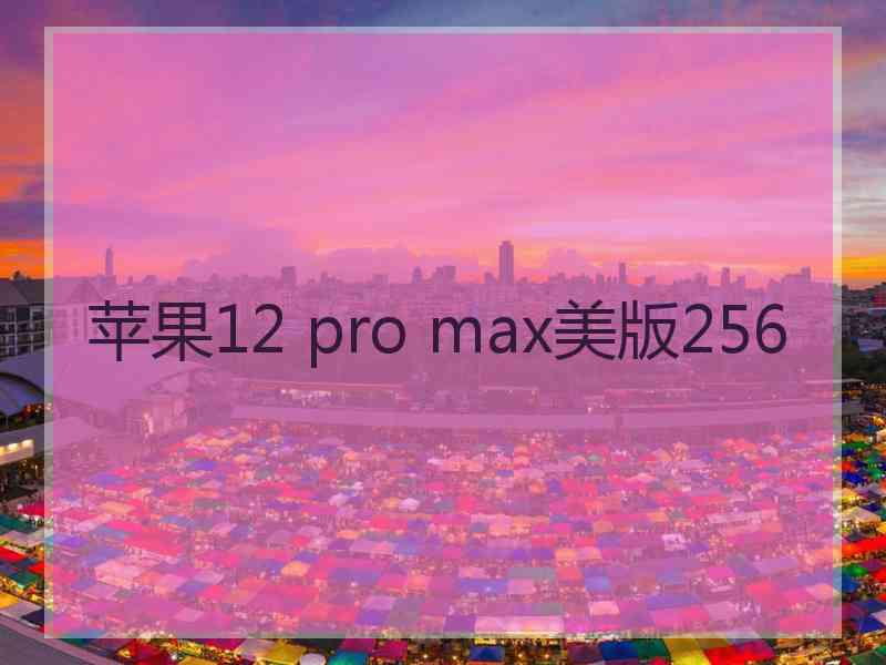 苹果12 pro max美版256