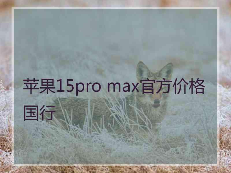 苹果15pro max官方价格国行