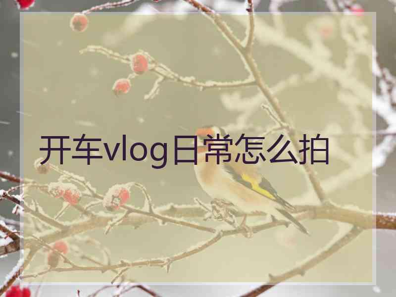 开车vlog日常怎么拍