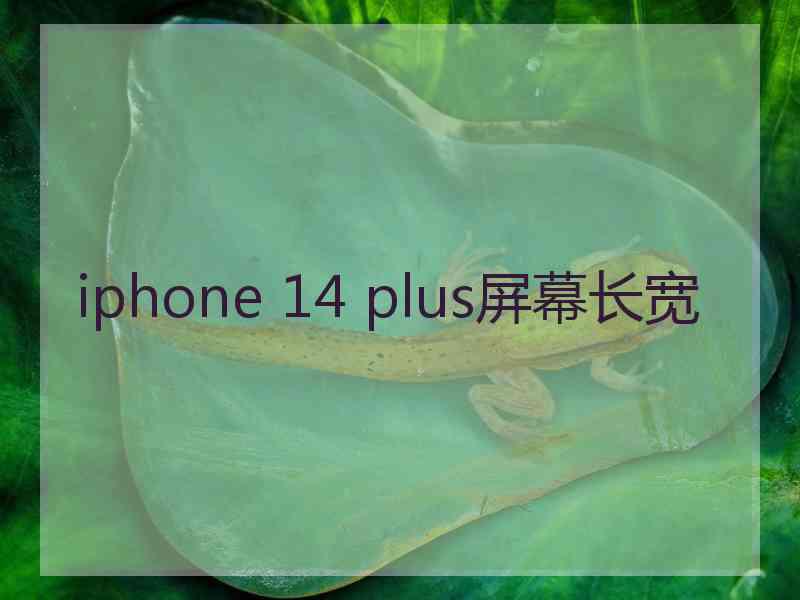 iphone 14 plus屏幕长宽