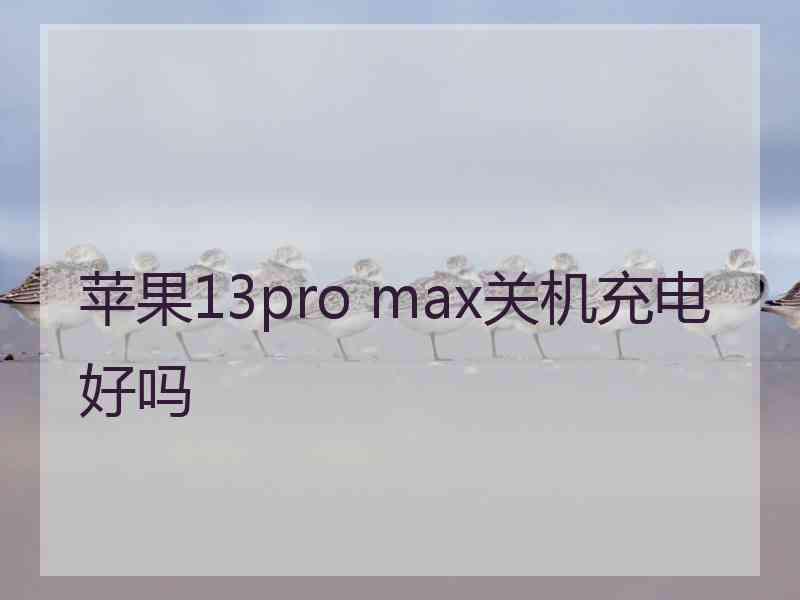 苹果13pro max关机充电好吗