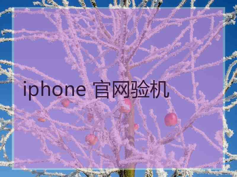 iphone 官网验机