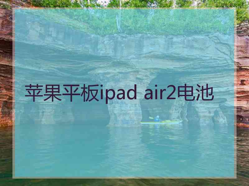 苹果平板ipad air2电池