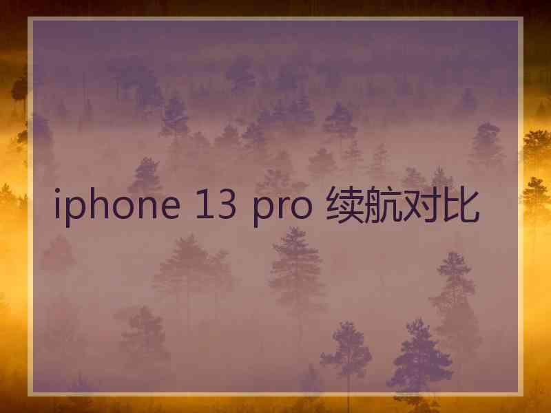 iphone 13 pro 续航对比