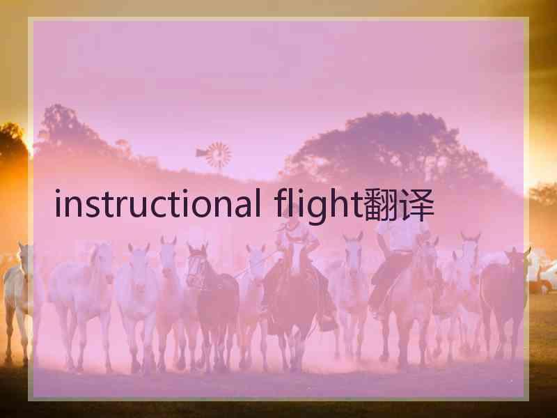 instructional flight翻译