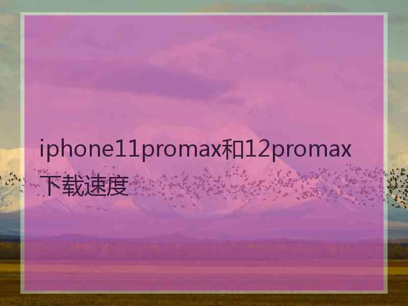 iphone11promax和12promax下载速度