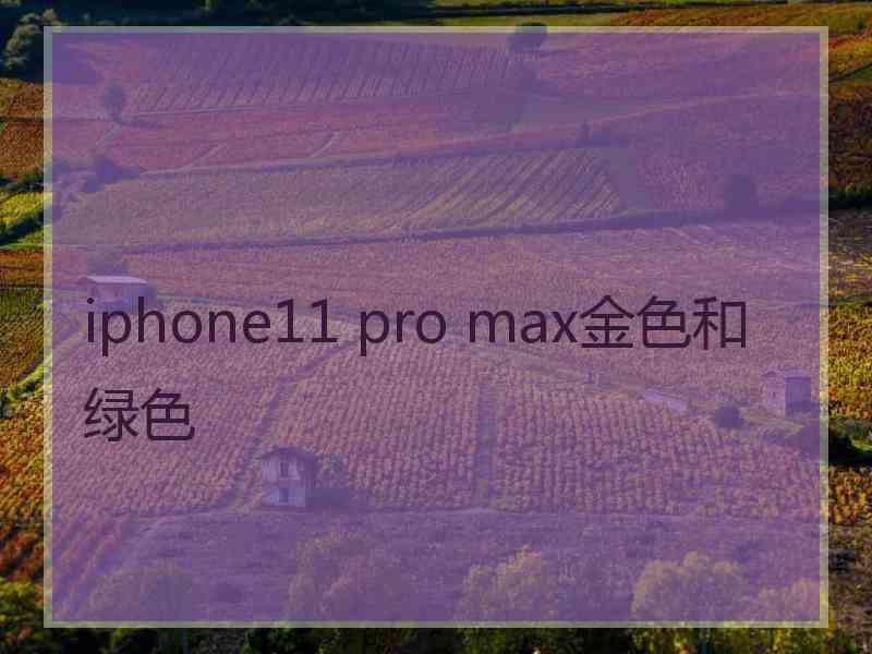 iphone11 pro max金色和绿色