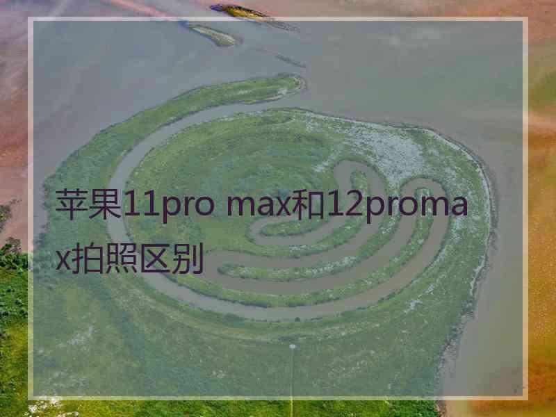 苹果11pro max和12promax拍照区别