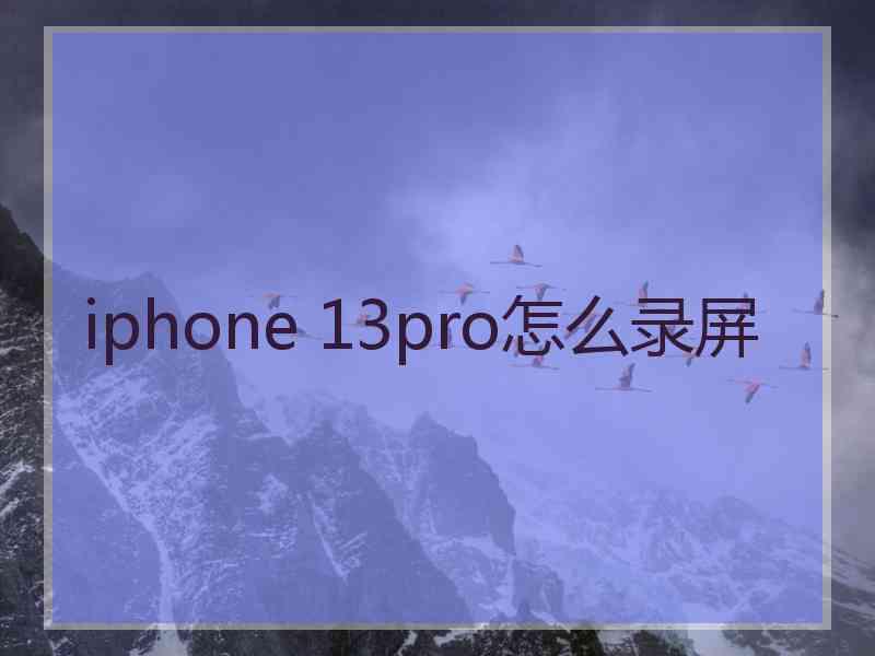 iphone 13pro怎么录屏