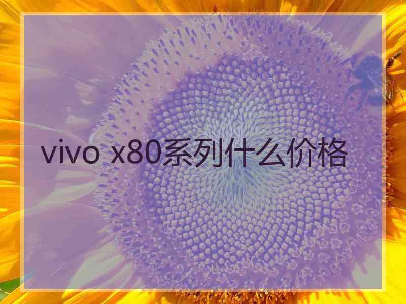 vivo x80系列什么价格