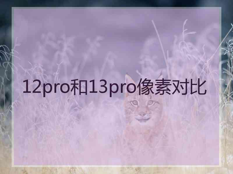 12pro和13pro像素对比