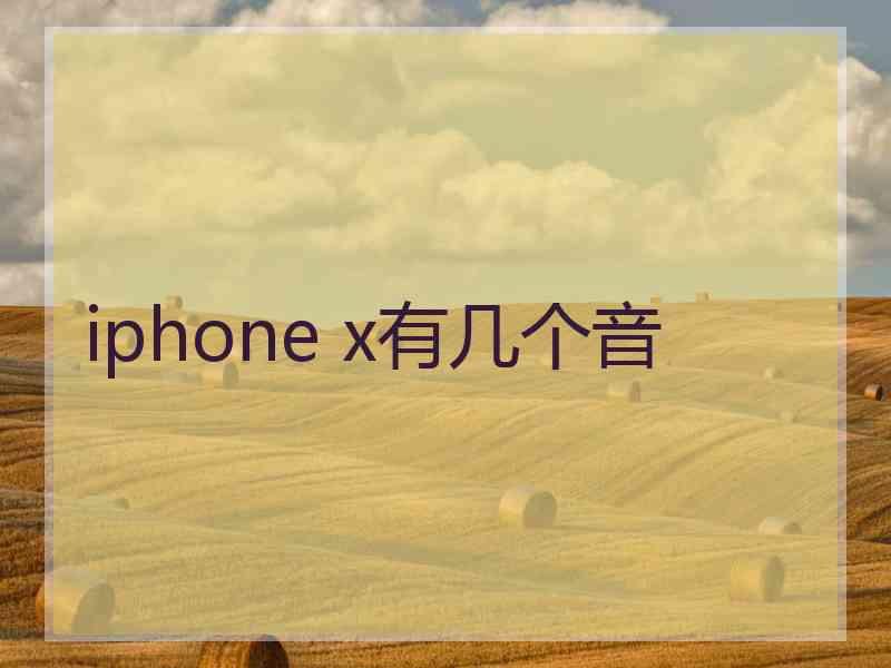 iphone x有几个音