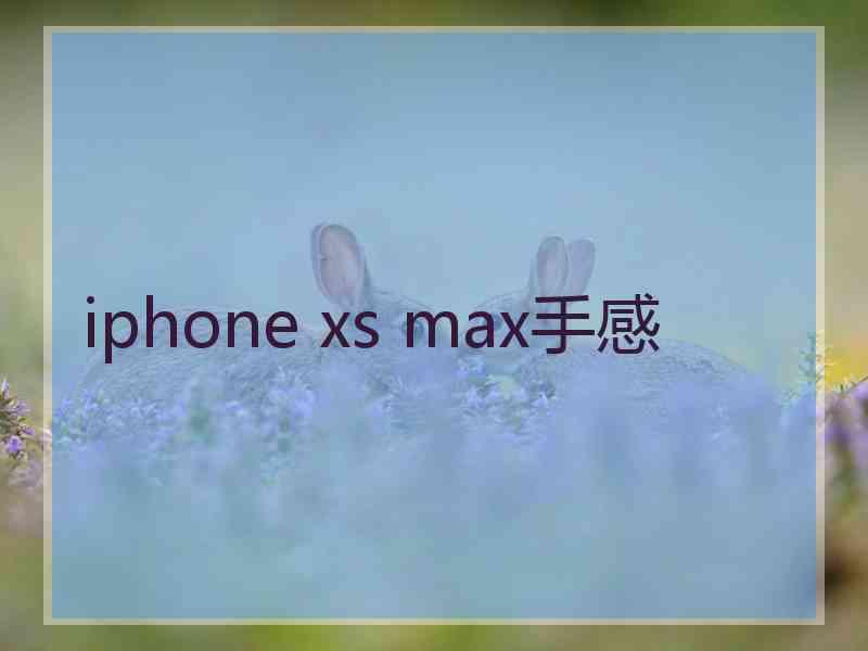 iphone xs max手感