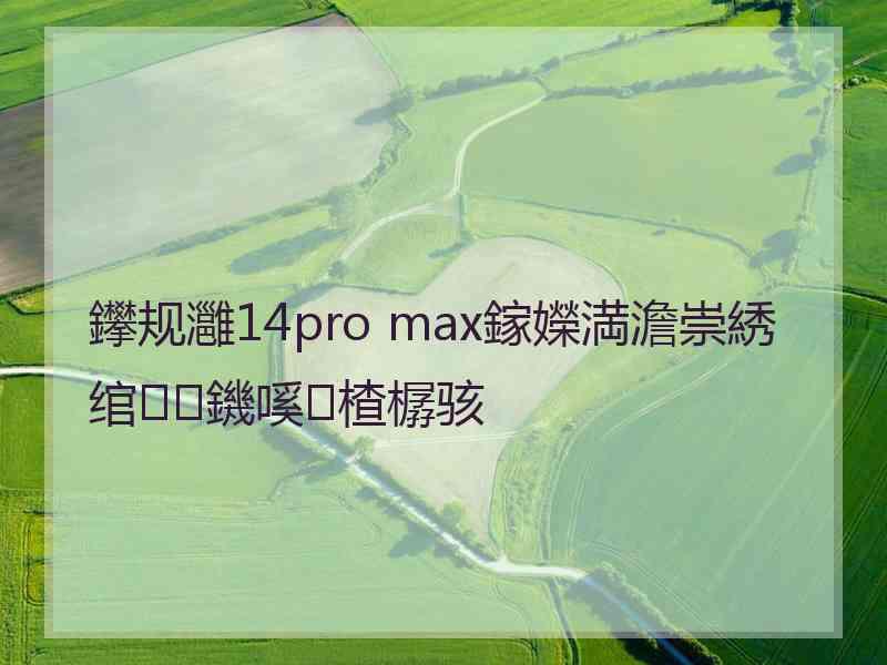 鑻规灉14pro max鎵嬫満澹崇綉绾㈡鐖嗘楂樼骇